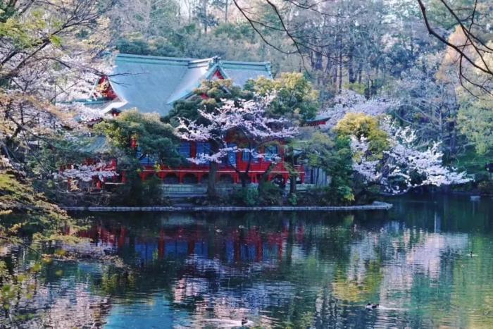 吉卜力美術館