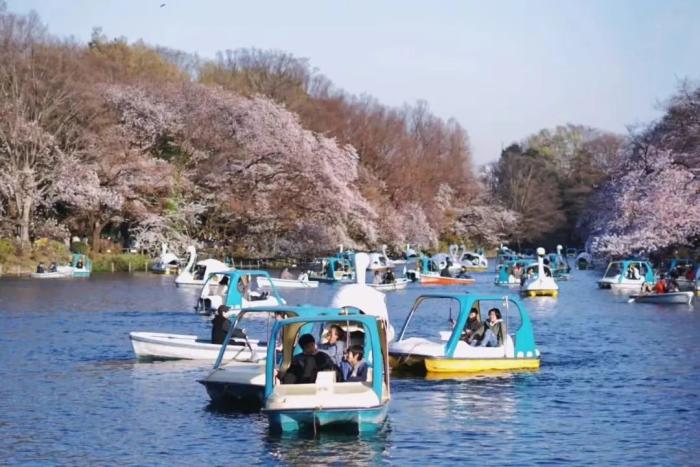 吉祥寺街景